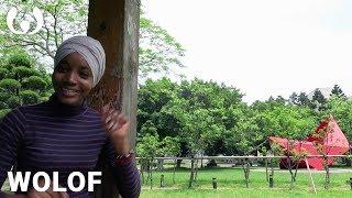 WIKITONGUES: Aminah Abba speaking Wolof