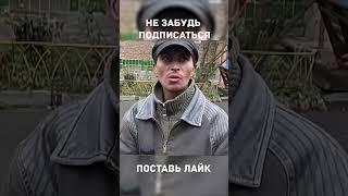 Самые абсурдные ЛБЗ #shorts #wot #миртанков #лбз #об279р #об260