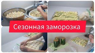 Сезонная заморозка