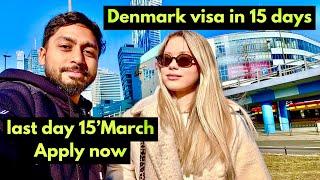 DENMARK WORK PERMIT VISA #denmark #harrysingheuropa