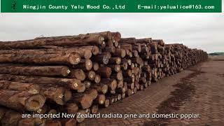 Ningjin County Yelu Wood CO ,Ltd