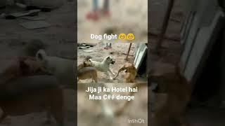 Dog fight (Jija ji ka hotel hai Maa c## denge) #BKF