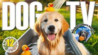 12 Hours Calming Music to Soothe Dog's Anxiety | Boredom Busting Dog Videos with Relaxing Music