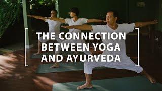 The Connection between Yoga and Ayurveda | The Ayurveda Way