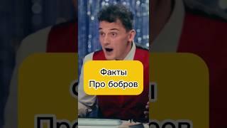 Бобёр это вомбат? #натальнаякарта #олесяиванченко #top #юмор #shorts #димажуравлев #новыйгод