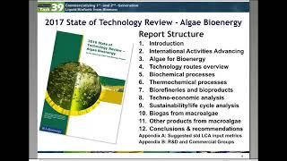 Algae Bioenergy State of Technology Review
