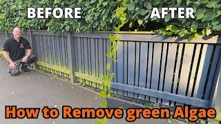 The BEST way to REMOVE green algae in gardens!