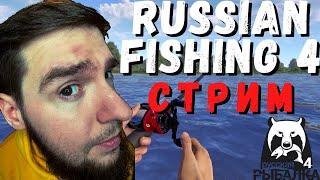 РУССКАЯ РЫБАЛКА 4 стрим [RUSSIAN FISHING 4 стрим]. Игра РУССКАЯ РЫБАЛКА 4 фарм [rf4 рр4 стрим]