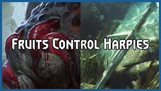 Fruits Control Harpies | Gwent Pro Rank Gameplay