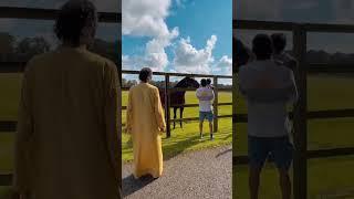 Sheikh Hamdan Crown Prince Dubai #fazza #hamdan #dubai #shorts #love #music #shortsfeed #lifestyle