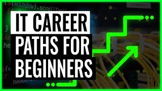 IT career paths - the best for beginners