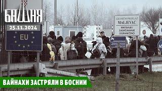 Вайнахи застряли в Боснии [25.11.2024] Новости | Рашид Абдурахманов