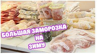 БОЛЬШАЯ Сезонная ЗАМОРОЗКА! Что я Заготавливаю и как Храню