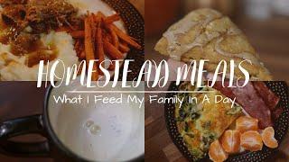 What I Feed My Family in a Day on the Homestead | From Scratch Meals