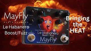 Lucas Haneman's Signature MayFly Le Habanero Boost / Fuzz