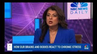 Burnout Crisis in the Workplace: Dr. Romie on Busy Brain Cure NBC News