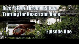 Throop fishery - River Stour | Trotting for Roach and Dace