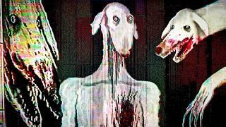 ГОЛОД ПОЖИРАЕТ ЕГО ИЗНУТРИ | Аналоговый Хоррор DEXTER: el perro