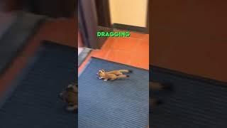 the way she drags her boy out 