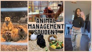 Week in the life of an animal management student | vlog