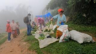 View of the Village Weekly Market of Eastern Nepal | video - 102 | Mountain Village Lifestyle