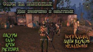 ФАРМ НА ВЫСЕЛКАХ. Stalker Online Сталкер Онлайн МCK RU3