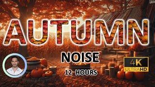 Autumn Sleep Noise | For Hibernation and Cosy Deep Sleep | 12 Hours | BLACK SCREEN | Anxiety Relief