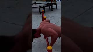 Ushuaia street workout #ushuaia #streetworkout