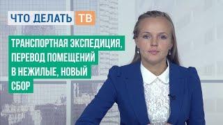 Транспортная экспедиция, перевод помещений в нежилые, новый сбор