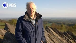 Attenborough's Life Journey | PBS Nature Trailer