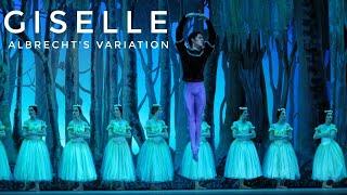 Albrecht's Variation - Raúl Abreu Giselle Act 2