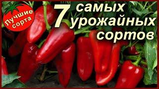 САМЫЕ УРОЖАЙНЫЕ СОРТА СЛАДКОГО ПЕРЦА