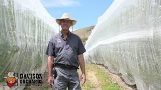 Farming Techniques: Netting
