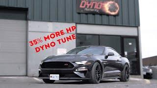 Whipple-powered Mustang Coyote hits 711 HP