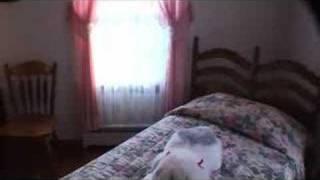 Nashua New Hampshire House for Sale