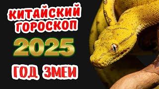 Китайский гороскоп на 2025 год по году рождения