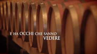 Wineverse vendita vini online | Vini italiani pregiati di vantine emergenti