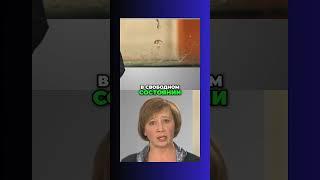 Секреты жидкости #физика7класс  #знайка #образование #учимсядома #огэ