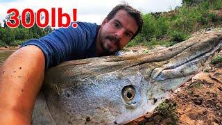 I Caught The BIGGEST FISH You've Ever Seen! (300lb MONSTER!)