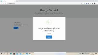 Reactjs laravel 8 Image Upload Working Example