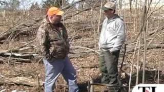 Wildlife habitat series: Aspen cut - timesleader.com
