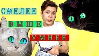 ЧЕЛЛЕНДЖ! КТО СМЕЛЕЕ, ВЫШЕ и УМНЕЕ? ЧЁРНАЯ кошка vs БЕЛАЯ кошка!