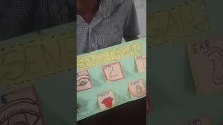 TLM ofSense organs .....cute explanation by Nikhil #education