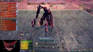 Blade and Soul SE | VT : Vortex Temple | Boss 1 | FM Tank