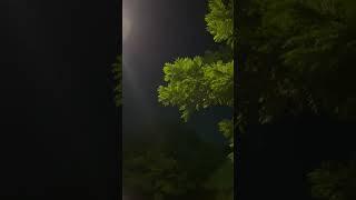 BKC JIO GARDEN  @AfzaalVlog-2407 #mumbai #travel  #nightlife #trending #youtubeshorts