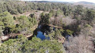 Bystock Pools and Squabmoor Reservoir Woodbury Common Devon 4k Drone Footage