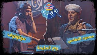 روح المليحة - محمود التهامي ومولوتوف - ريد بُل مزيكا صالونات