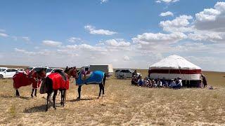 Қызан ауылының атбегі-сейістері. 14 08 2024 ж. Қызан-Көкой