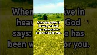 I will have so many waiting for me #allcatsgotoheaven