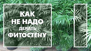 Как не надо делать фитостену. Деньги на выброс.